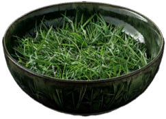 Speed Herb Meal [Tier 1]