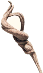 Astral Illusion [Green]