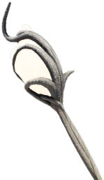 Weather Master [Blue]