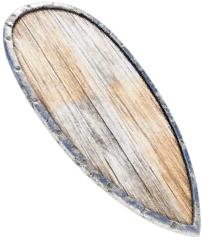 Novice Shield