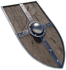 Beginner's Shield