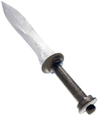 Beginner's Dual Dagger