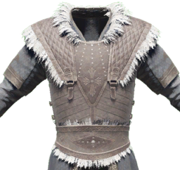 Frostbound Armor