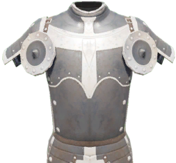 Novice Bodyguard Armor