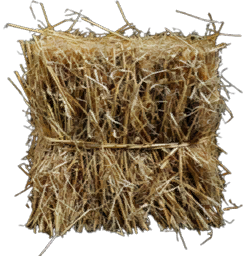 Dry Straw
