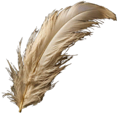 Feather