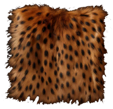 Hyena Hide