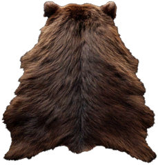 Brown Bear Hide