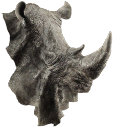 Rhino Hide