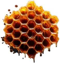 Honeycomb