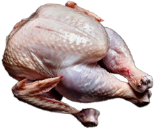 Chicken Meat