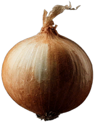 Onion