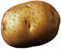 Potato