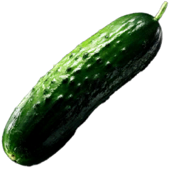 Cucumber