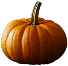 Pumpkin