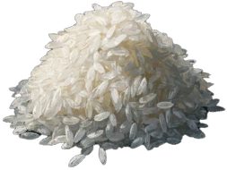 Rice