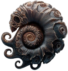 Kraken's Shell