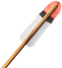 Explosive Arrow (Bow)