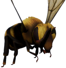 Venom Bee