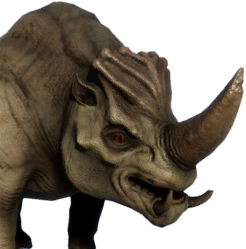 Rock Rhino